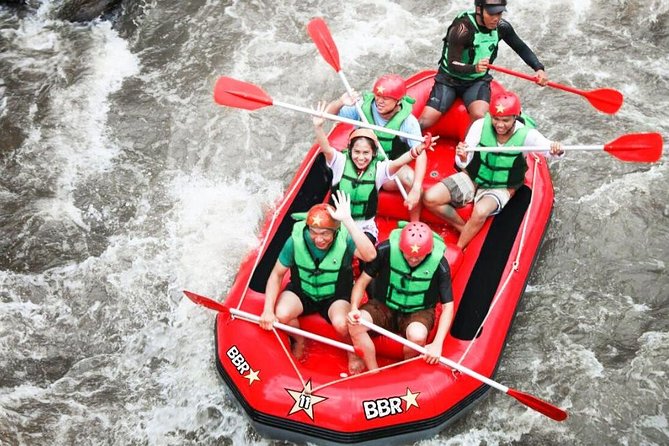 Bali White Water Rafting - Infinity - On the Ayung River: Waterfalls, Jungle, Wildlife, and Swim Moments