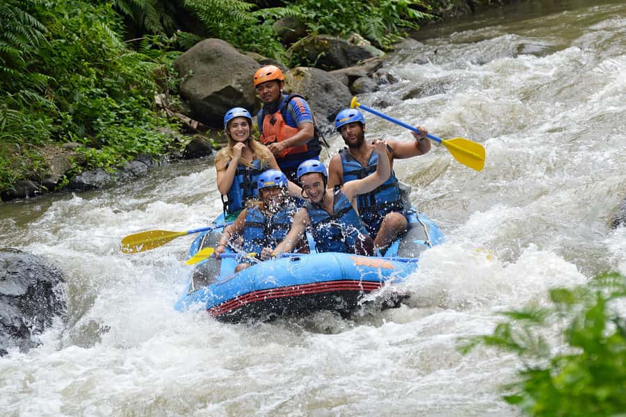 Bali: White Water Rafting, Lunch and Private Pickup - Ayung River Rafting Near Kuta: Why This Part of Bali Works