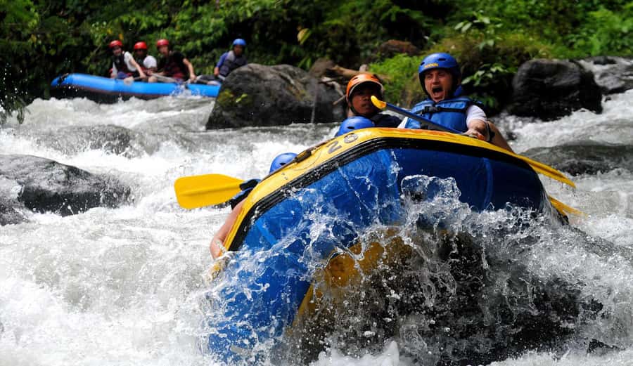Bali: White Water Rafting, Lunch and Private Pickup - Price and Value: Is $28 a Smart Deal?