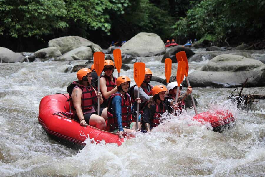Bali: White Water Rafting, Lunch and Private Pickup - Should You Book Ayung River White Water Rafting?