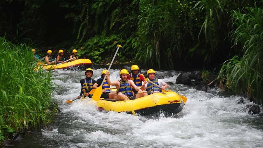 Bali: White Water Rafting, Lunch and Private Pickup - Safety First on Grade II–III Rapids