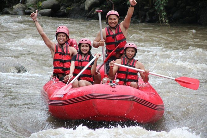 Bali White Water Rafting with No Steep Access - Ayung River rafting: fun rapids with a first-timer-friendly feel