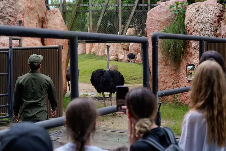 Bali Zoo: Behind Closed Doors Afternoon Safari Guided Tour - Why Bali Zoo’s After-Hours Program Feels Different