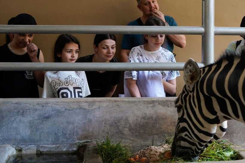 Bali Zoo: Behind Closed Doors Afternoon Safari Guided Tour - Behind the Scenes: Animal Care, Nocturnal Habits, and Conservation Talk