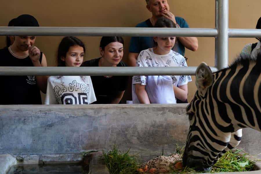 Bali Zoo: Behind Closed Doors Afternoon Safari Guided Tour - Timing: 3 PM Check-In and the 4–6 PM Behind Closed Doors Window