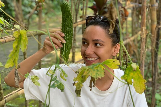 Balinese Authentic Cooking Class in Ubud - The farm walk: harvesting spices you’ll actually use