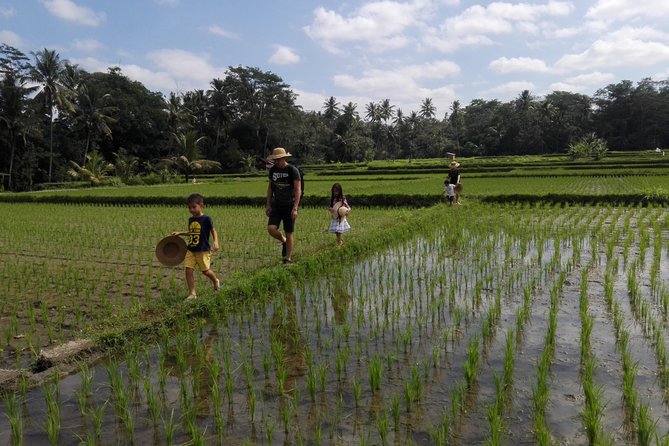 Balinese Cooking Class at Organic Farm - Why Mai Organic Farm feels different from a typical cooking class