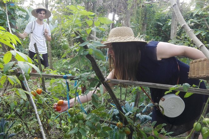 Balinese Cooking Class at Organic Farm - Price and value: is $40 a good deal here?