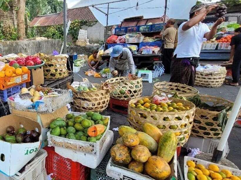 Balinese cooking class/Go shopping at the market, cook, eat - The meal you cook: eating together like a home table