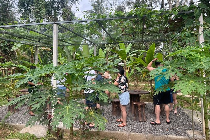 Balinese Cooking Class with Traditional Market Tour - Price and value: why $58.16 can make sense