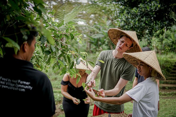 Balinese Farm Cooking Class by Pemulan Bali - Getting there in central Ubud: pickup and the meeting point