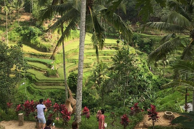 Balinese Life Style Tour - Gunung Kawi Sebatu Temple: A Spring-Water Purification Stop That Feels Different