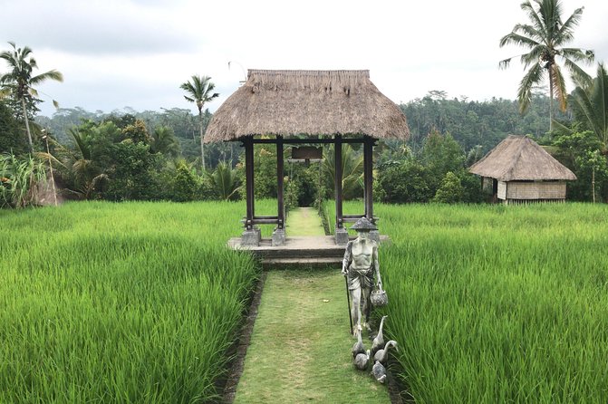 Balinese Life Style Tour - Segara Windhu Coffee Plantations: A Relaxing Finish With Tasting Time