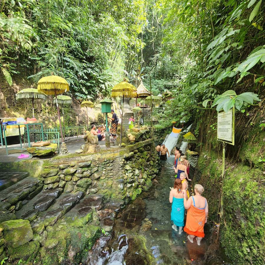 Balinese Purification at holy water temple with Local - 8:00 Pickup in Ubud: How the Day Starts Smoothly