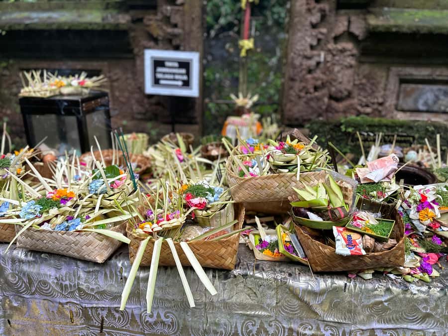 Balinese Spiritual Cleansing by Traditional Method - Key moments that make this tour worth it