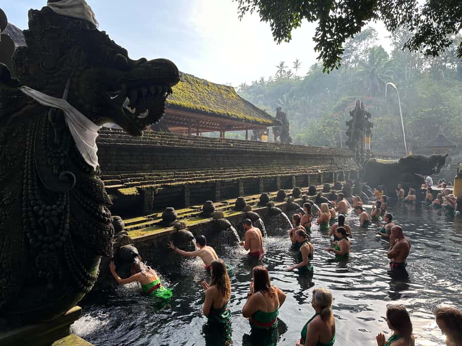 Balinese Spiritual Cleansing by Traditional Method - Segara Windhu coffee plantation: herbal tea tasting with jungle views