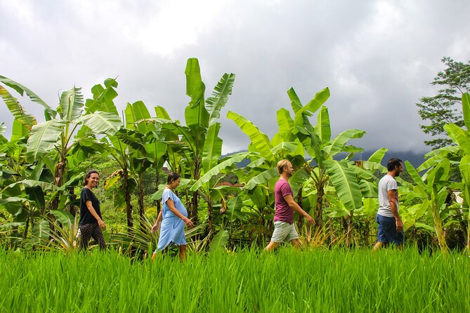 Balinese Vegan Cooking Class with Fresh Harvesting & Garden Tour - Garden tour and fresh harvesting: more than pretty photos