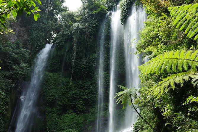 Banyuwana & Banyumala Waterfalls Tour Private - All-Inclusive - North Bali Waterfalls With Banyumala and Banyu Wana Amertha