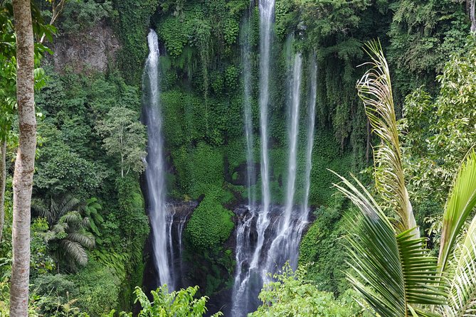 Banyuwana & Banyumala Waterfalls Tour Private - All-Inclusive - Pickup, price, and how the day really runs from 8:00am