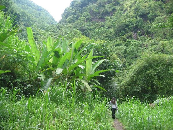 Batur Caldera Sunrise Trekking - Key highlights worth waking up for