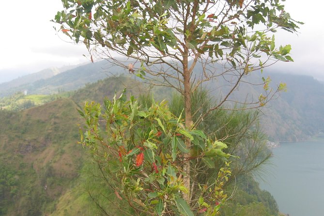 Batur Caldera Sunrise Trekking - Descent and return crossing: keep your energy for the second half
