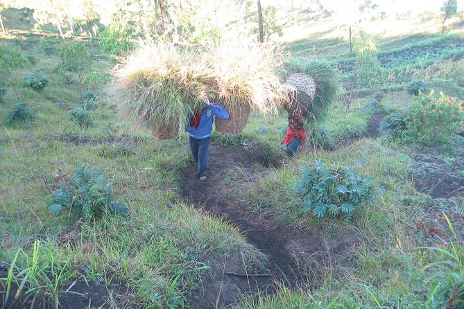 Batur Caldera Sunrise Trekking - Lake Batur to Pulak: the boat start that changes the mood
