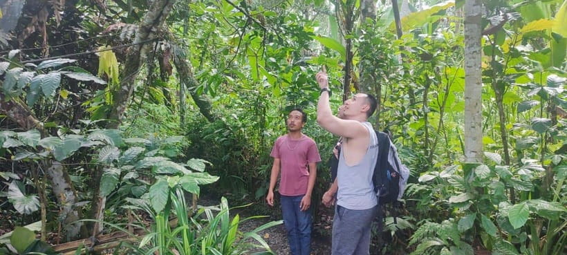 Batur Volcano Jeep Tour & Explore Best Waterfall in Bali - Hidden waterfall stop with 1.5 hours: walking, swimming, and photos