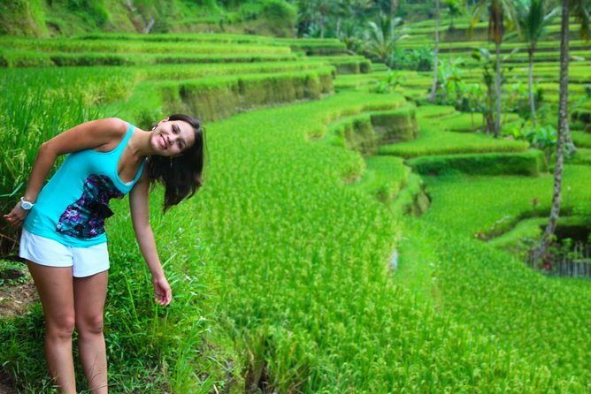Beauty Of West Bali Tour (Private and All Inclusive) - Your Ride: Private Van, Pickup, and How to Use the Day Well