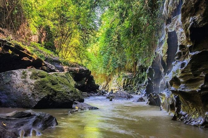 Beji Guwang Hidden Canyon With Tukad Cepung Waterfalls - Getting There From Ubud: Private Car, Real Time, and a Morning Start