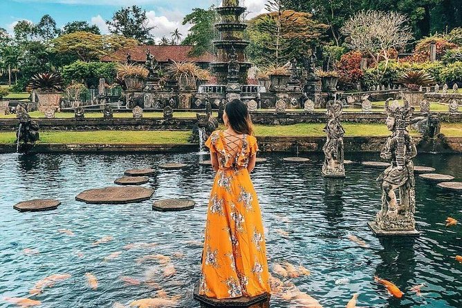 Benoa Cruise Port: Private Bali Day Tour with Local Guide - Tirta Empul Temple: the purification ritual without the confusion