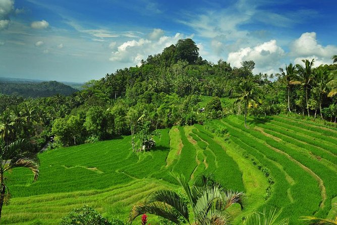 Besakih Temple Tour - Mother Temple in Bali - Lunch at an Indonesian Restaurant: Real Food Reset