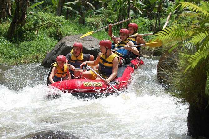 Best Bali Ayung River Rafting with Lunch - Getting There: Meeting Point and Optional Private Transfer