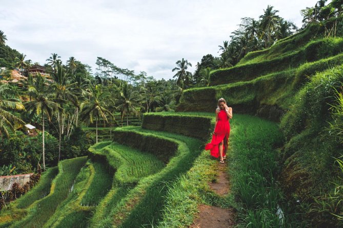 Best Day Trip in Bali - Ubud, packed—but not rushed: what this day trip gets right