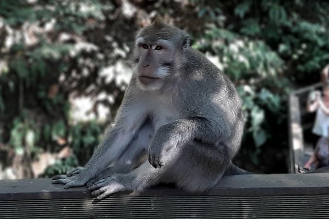 Best of Ubud - All Inclusive - The big-picture value: what makes this tour worth $85