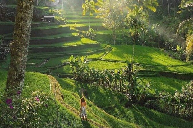 Best of Ubud: All-Inclusive Private Tour with Local Guide - Kanto Lampo Waterfall: Short Stairs, Big Reward