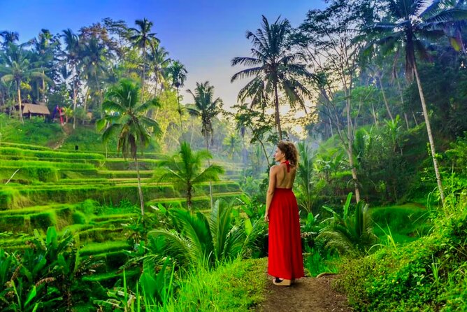 Best of Ubud: All-Inclusive Private Tour with Local Guide - Happy Swing Bali: The Photo Stop That Sets the Tone