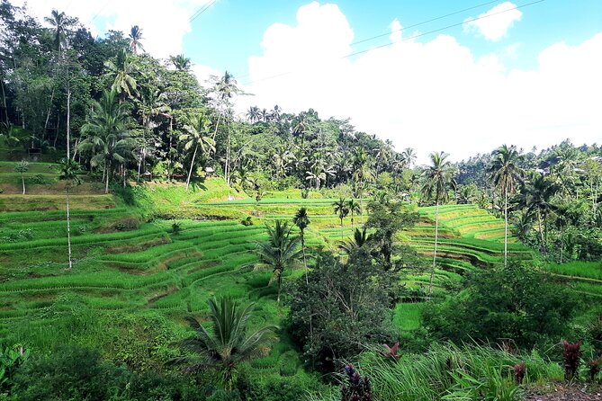 Best of Ubud - All Inclusive - Your day’s rhythm: how the 8–10 hours is likely to feel