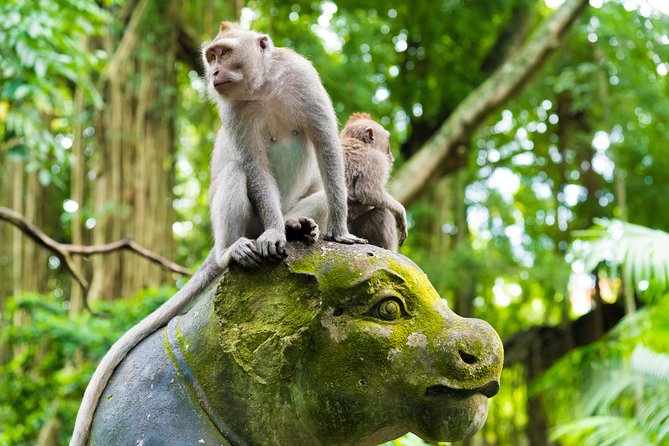 Best of Ubud Attractions: Private All-Inclusive Tour - D Alas Warung lunch: when food comes with valley views