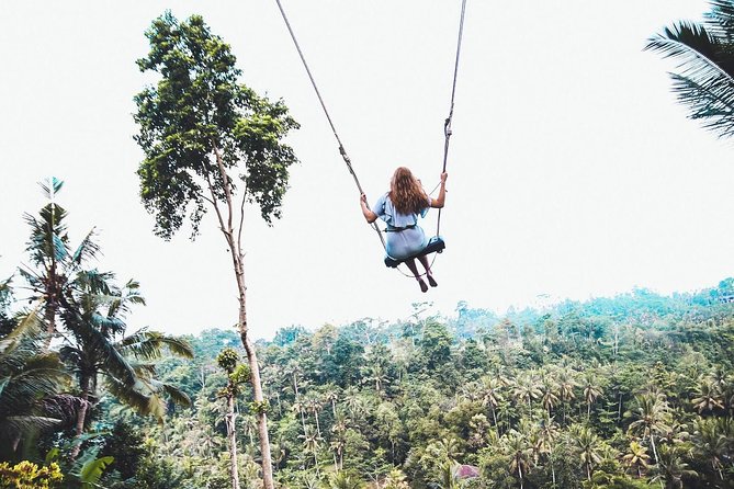 Best of Ubud Full-Day Tour with Jungle Swing - Price and Logistics: what $56.05 gets you (and what to watch)