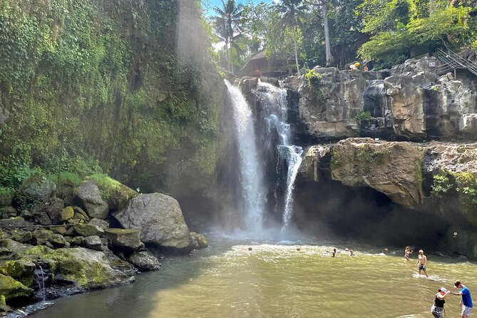 Best Of Ubud Half Day Private Guided Tour - A Photo-First Private Day Around Ubud