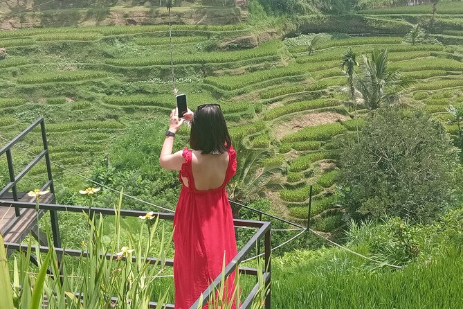 Best Of Ubud Half Day Private Guided Tour - Ubud Monkey Forest: Quick Energy, Big Photo Potential