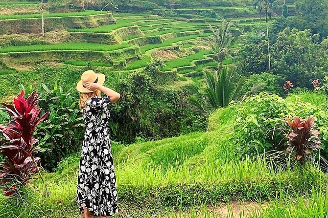 Best of Ubud - Kintamani Volcano View - Private Tour - Stop 1: Sacred Monkey Forest Sanctuary (What to Watch For)