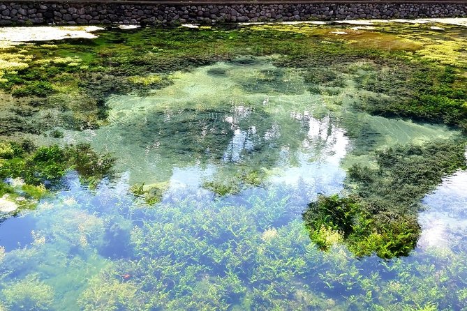 Best of Ubud - Kintamani Volcano View - Private Tour - Stop 4: Tirta Empul Temple and the Holy Spring Purification