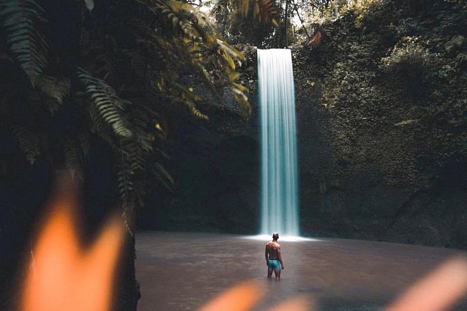 Best Of Ubud : One Day Hidden Waterfall Tour with Tempel - Sacred Monkey Forest Sanctuary: macaques, forest paths, and the Dragon Bridge area