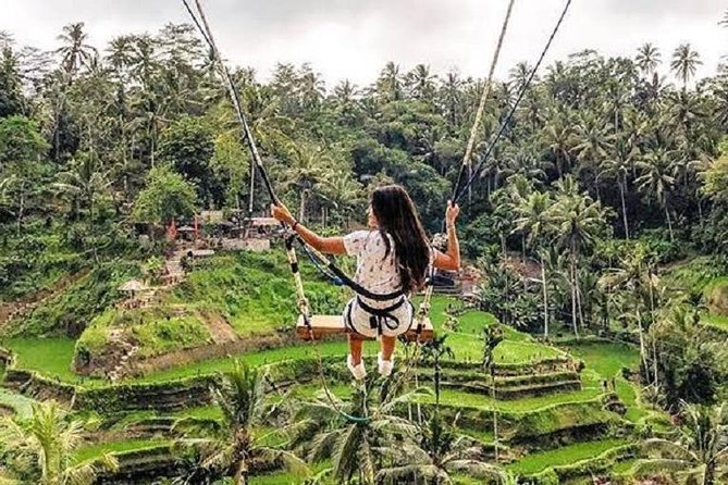 Best of Ubud Tour with Jungle Swing Private and All Inclusive - Sacred Monkey Forest: temples, gray macaques, and a bit of common sense