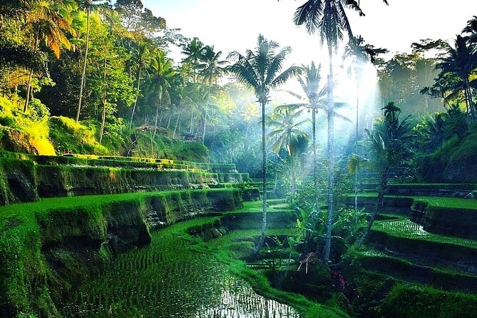 Best of Ubud - Ubud Tour Popular - All Inclusive - Price and value: what $52 buys you