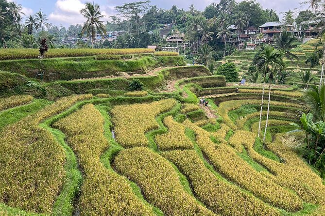 Best of Ubud - Ubud Tour Popular - All Inclusive - Stop 3: Tegenungan Waterfall for a break and a splash