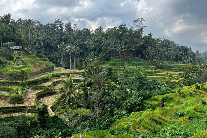 Best of Ubud - Ubud Tour Popular - All Inclusive - Stop 4: Puseh Batuan Temple and Balinese craftsmanship