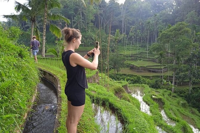 Best of Ubud - Ubud Tour Popular - All Inclusive - Price and value: what $52 buys you