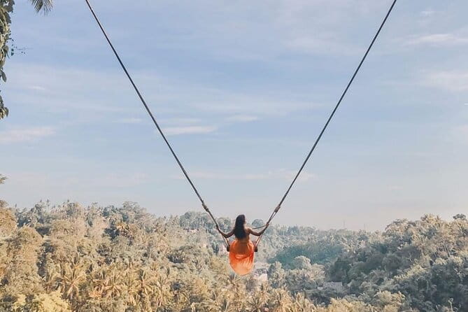 Best Of Ubud Waterfalls, Rice Terrace and Jungle Swing Tour - A best-of Ubud day that actually makes sense